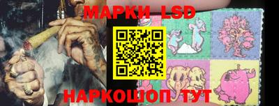 стафф Новозыбков