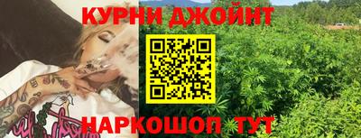сатива Новодвинск