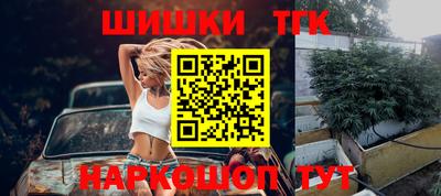 сатива Новодвинск