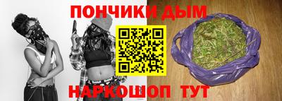 сатива Новодвинск