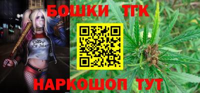 сатива Новодвинск
