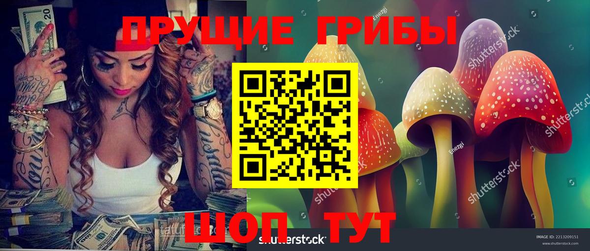 Тихвин  Галлюциногенные грибы ЛСД  Вход с VPN 