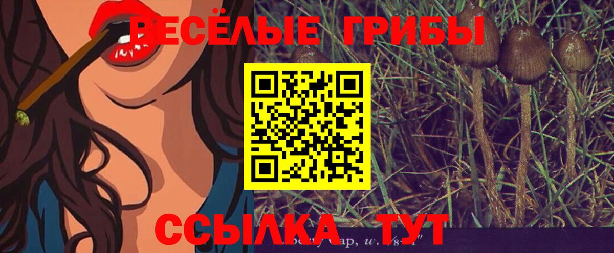 Галлюциногенные грибы GOLDEN TEACHER Тихвин